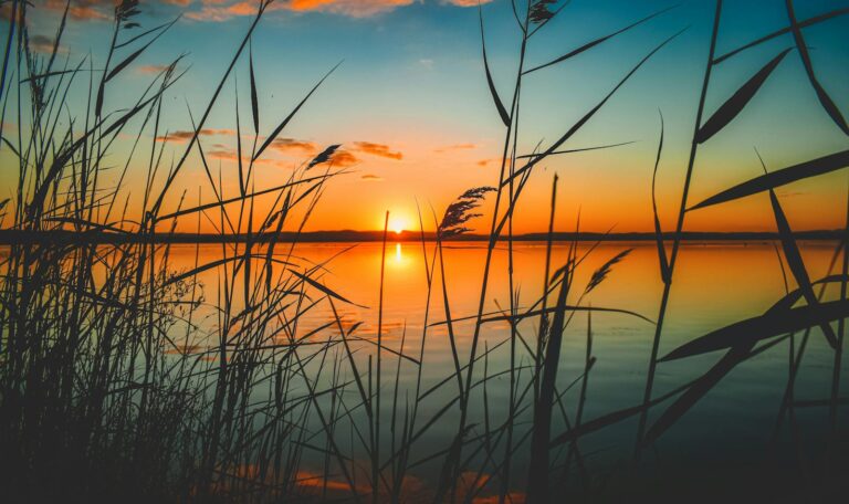 Scenic View Of Lake During Sunset