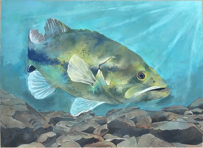Young Georgia Artists Shine in 2024 Fish Art Contest