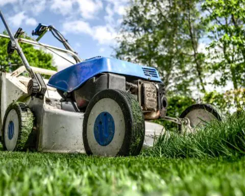 Lawn Mower Vehicle on Grass