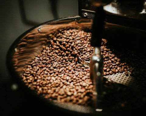 Shallow Focus Photo of Coffee Beans