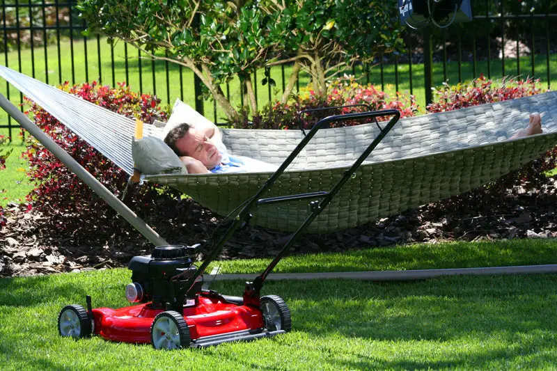 How to Mow Your Lawn Less During the Summer Months