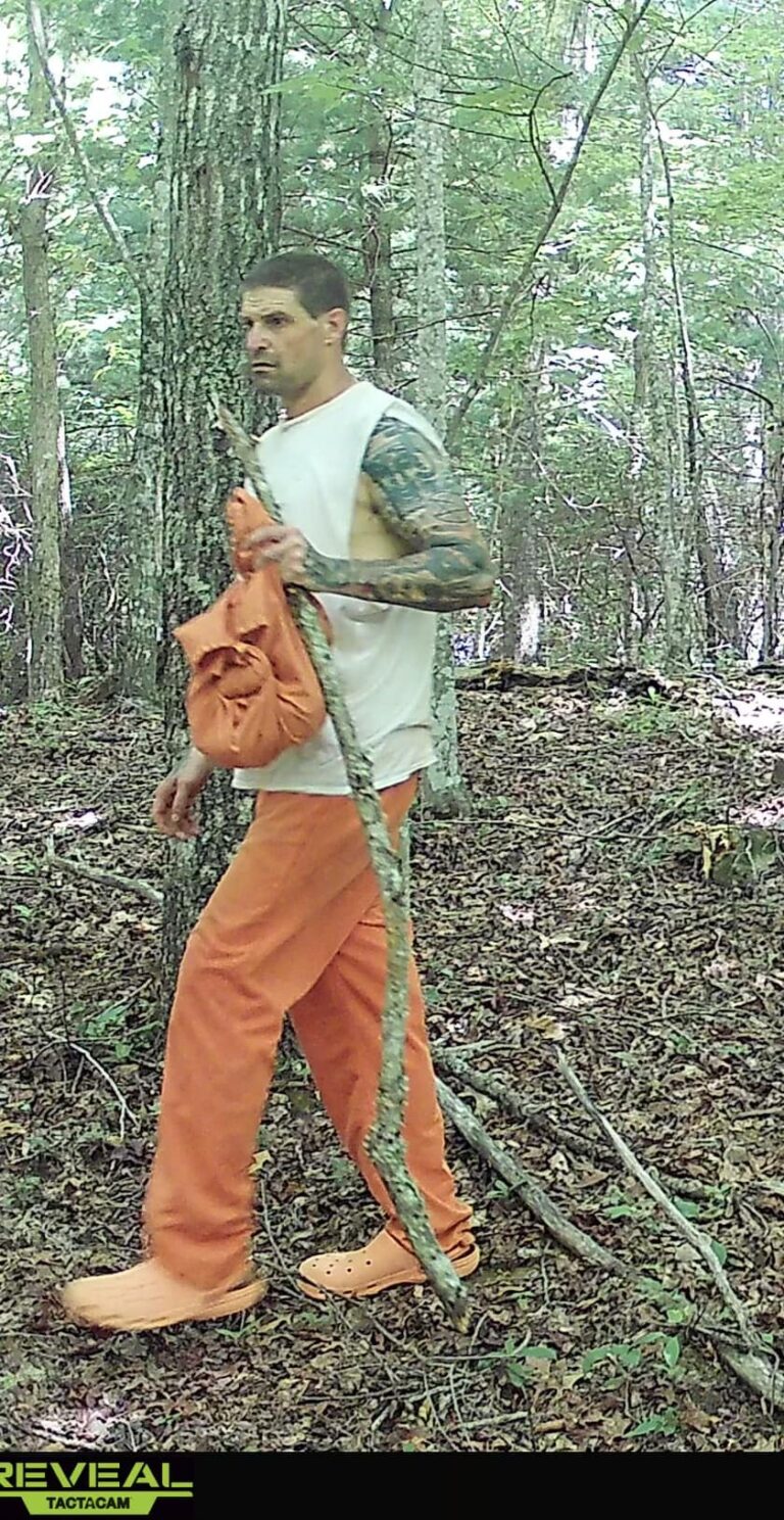 Escaped Inmate At Large After Walking Away From Towns County Work Detail