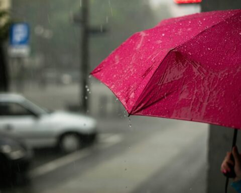 pink umbrella