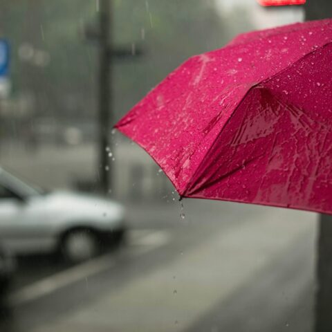 pink umbrella