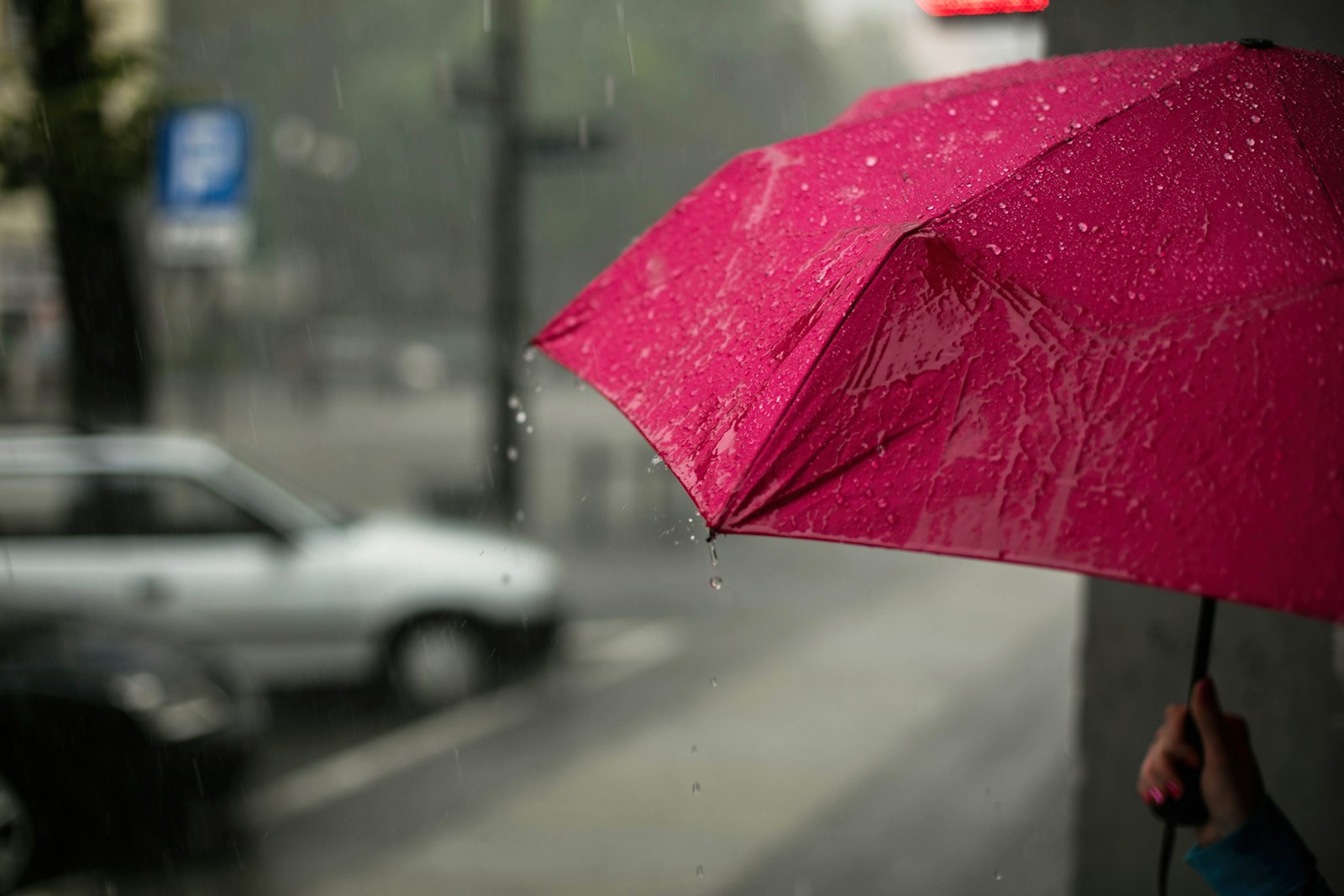 Rain and Thunderstorms Expected Across Georgia