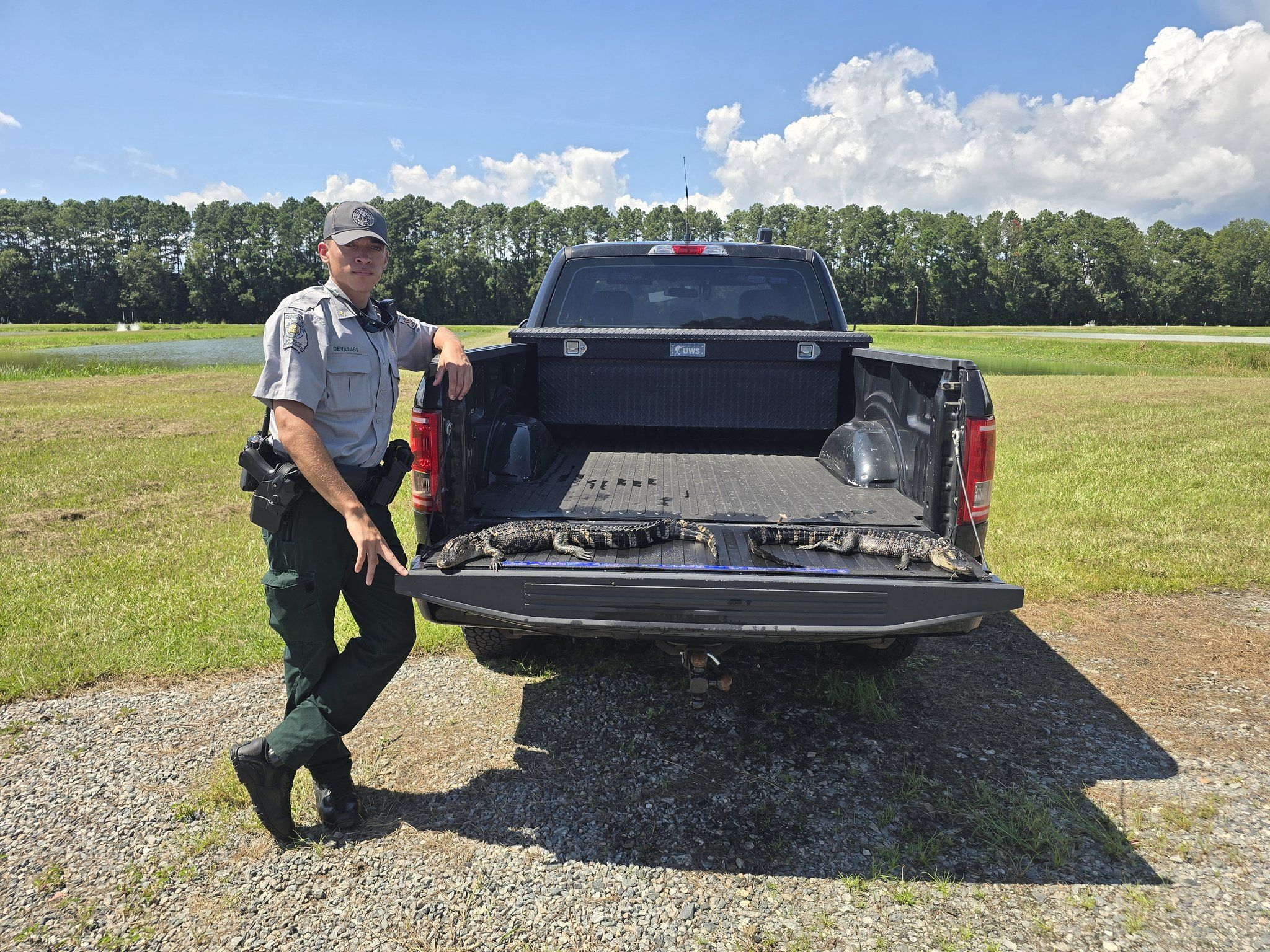 During a search warrant executed on August 29 in connection with a theft investigation, Richmond Hill police detectives uncovered two small, illegally killed alligators in Bryan County. The discovery led to charges against an individual for possessing the animals, which were taken in violation of state hunting regulations.