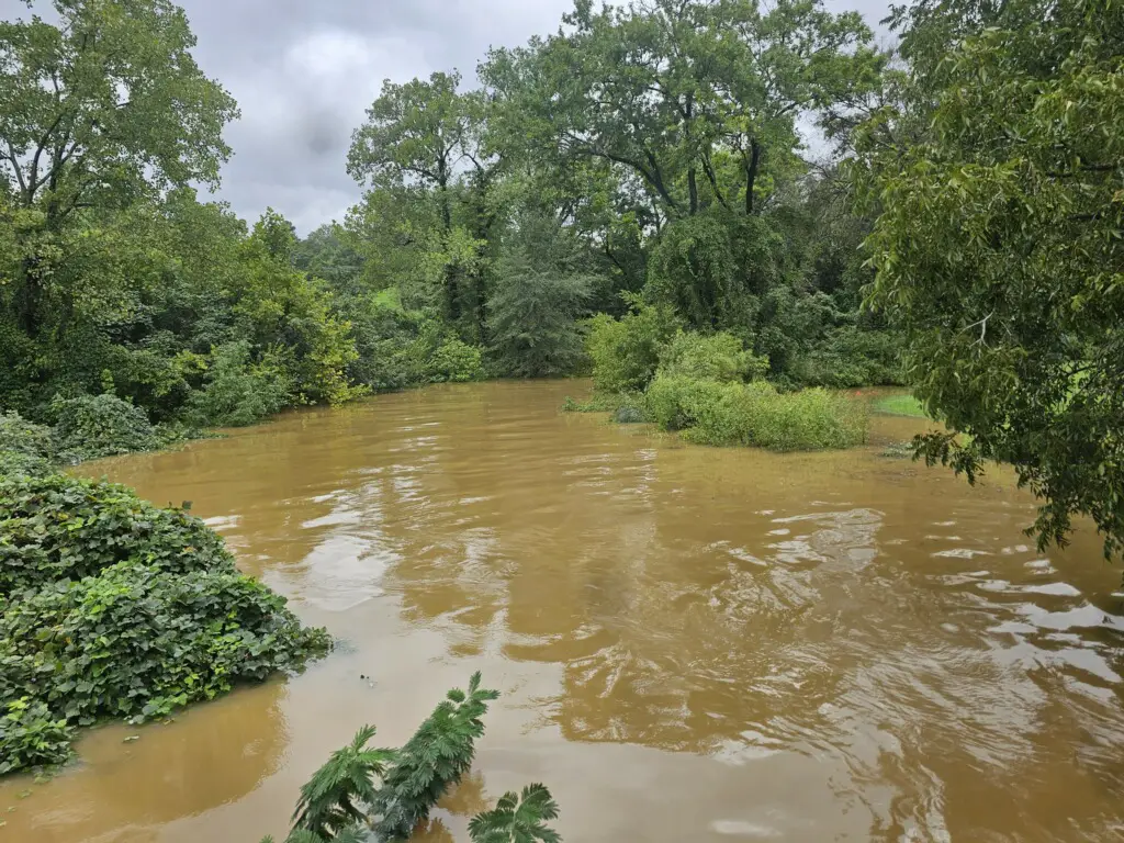 Federal disaster relief funding has now been extended to include four additional Georgia counties. Residents in Effingham, Elbert, Tift, and Rabun counties can now access much-needed federal aid following the severe weather that ravaged parts of the state. This brings the total number of counties receiving assistance to 45.