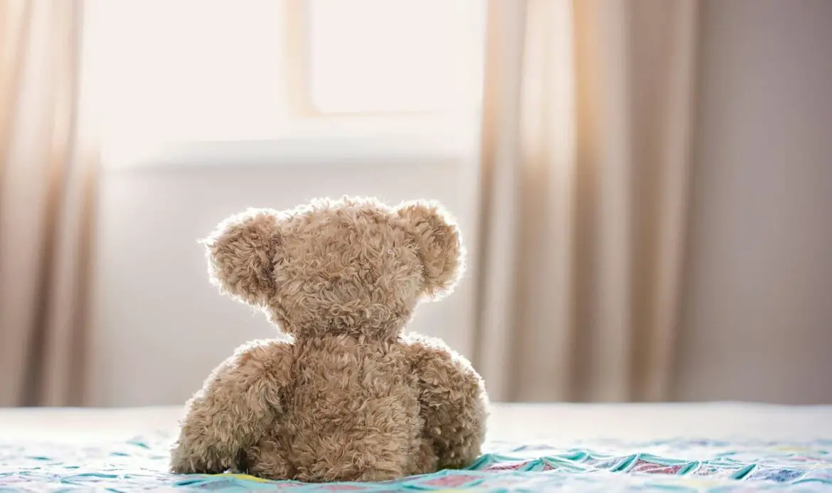 Brown Bear Plush Toy On Bed