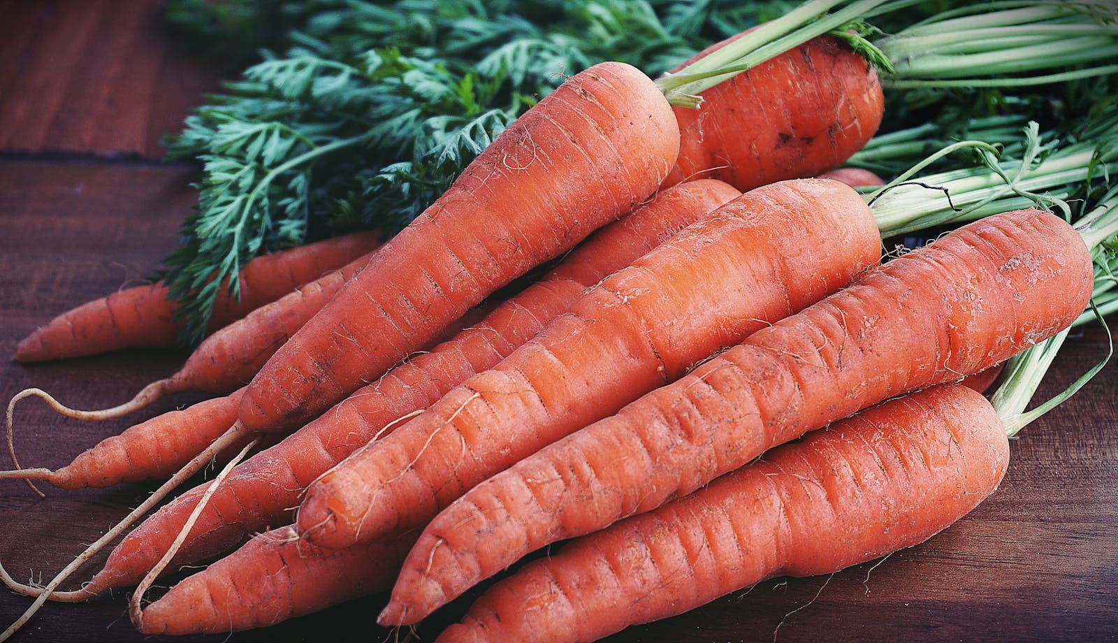 Do Your Carrots Have E.coli?