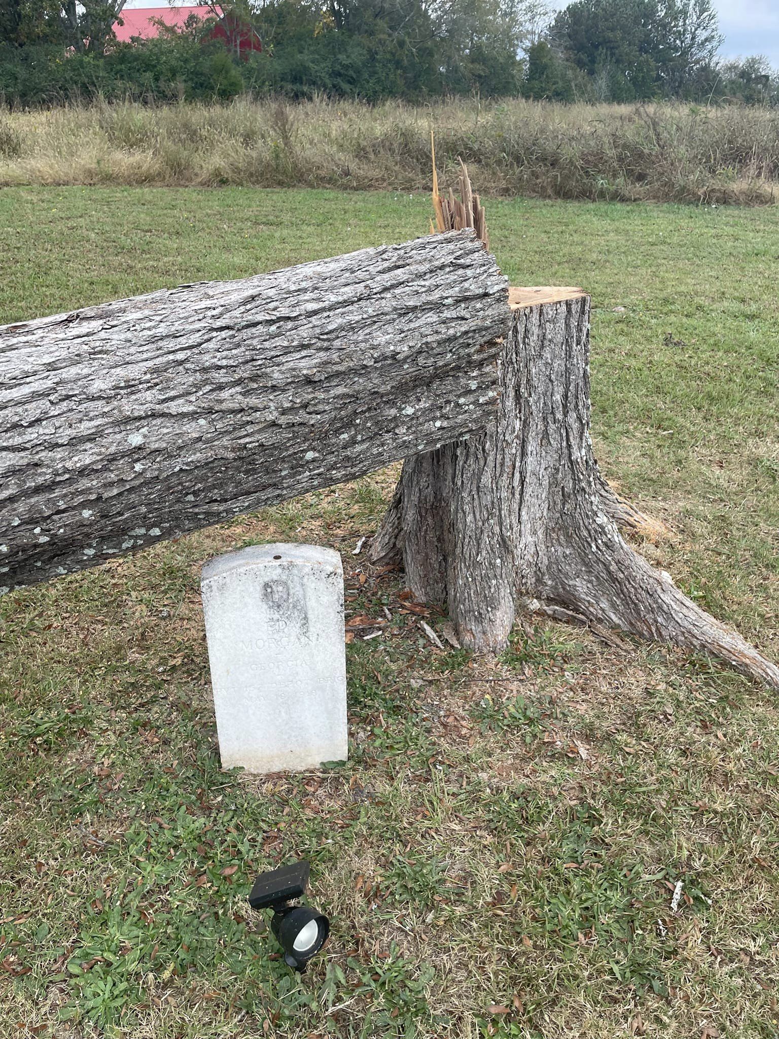 In Jones County, a cherished symbol of local history and military honor has been defiled. The grave of Ed Morgan, a World War I military veteran who has rested along Highway 11 since 1918, became the target of a disturbing act of vandalism last night.