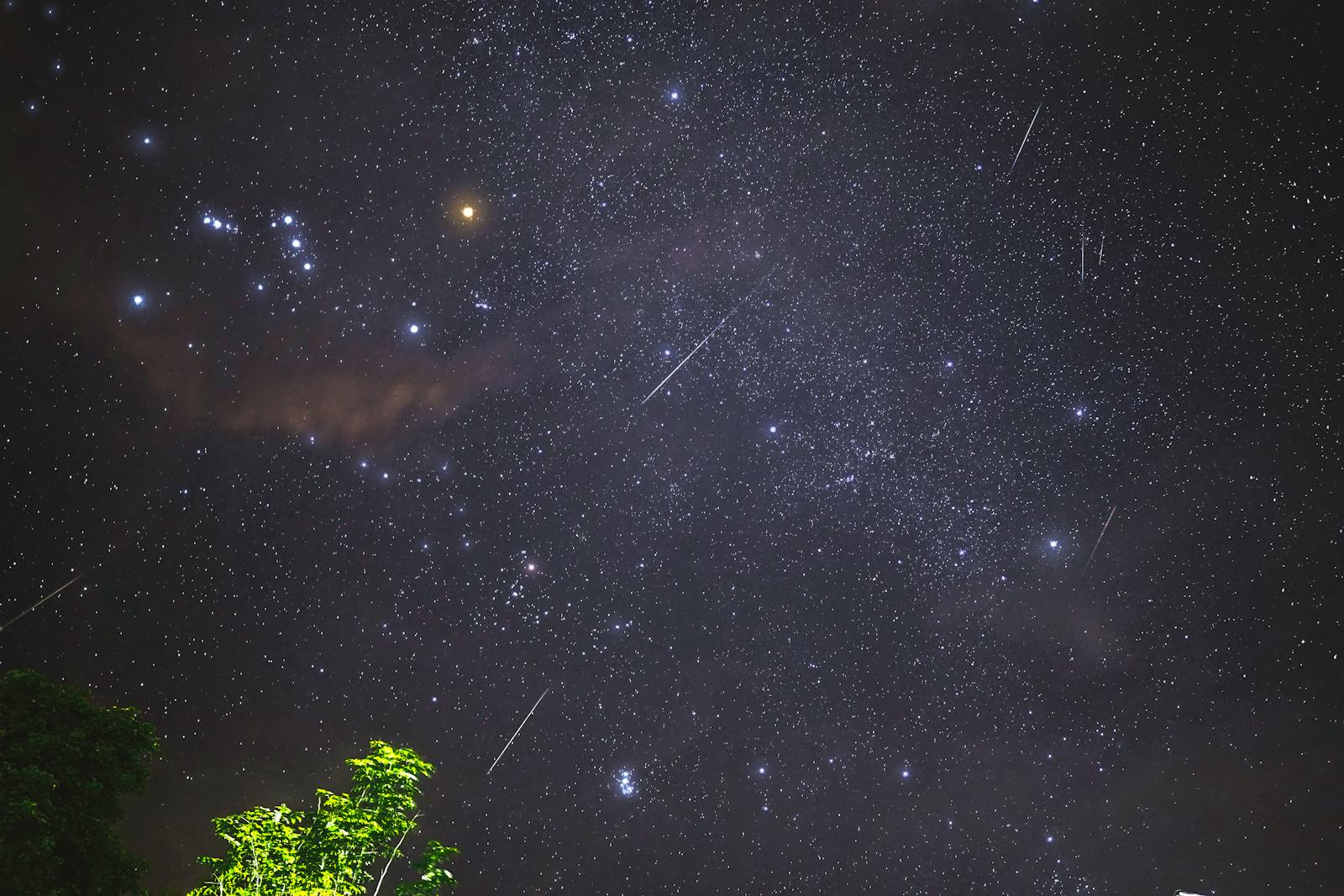 How to See The Leonid Meteor Shower View This Weekend