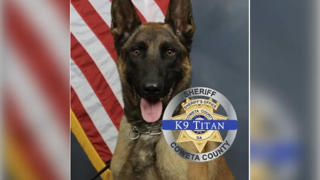 Georgia K9 Officer Killed in Chase