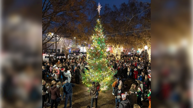 Stunning Smyrna Tree Lighting 2023 Pictures