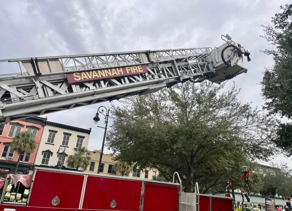 Savannah Fire