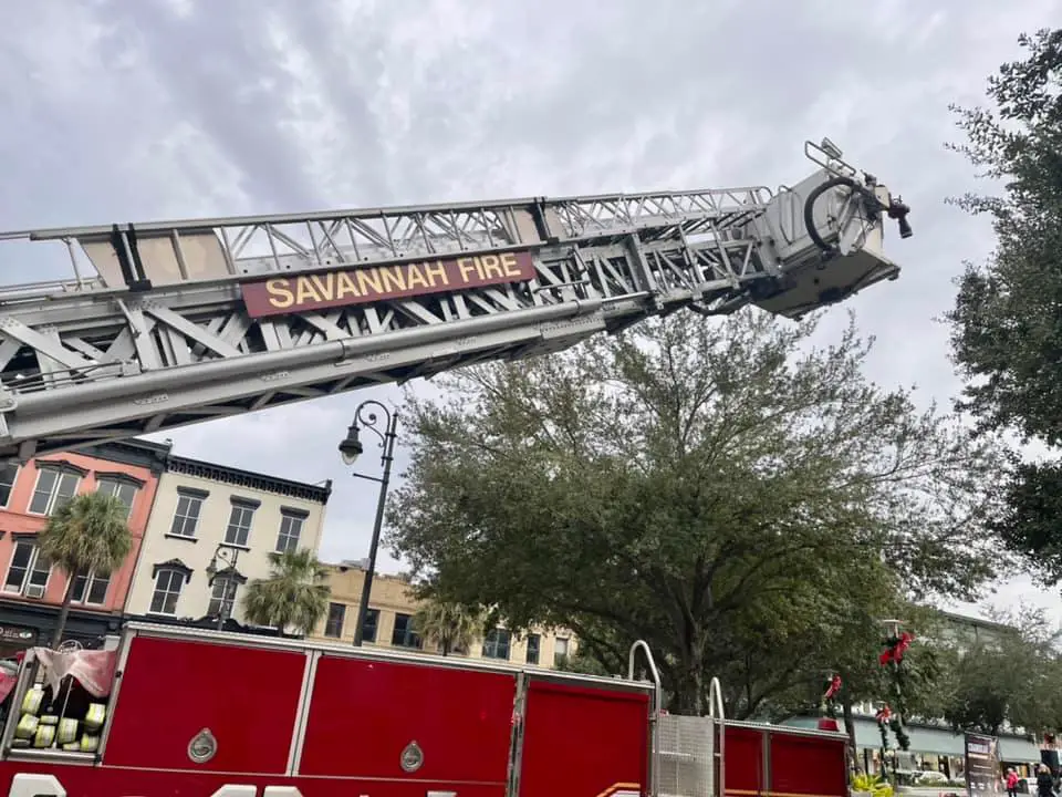 Savannah Fire