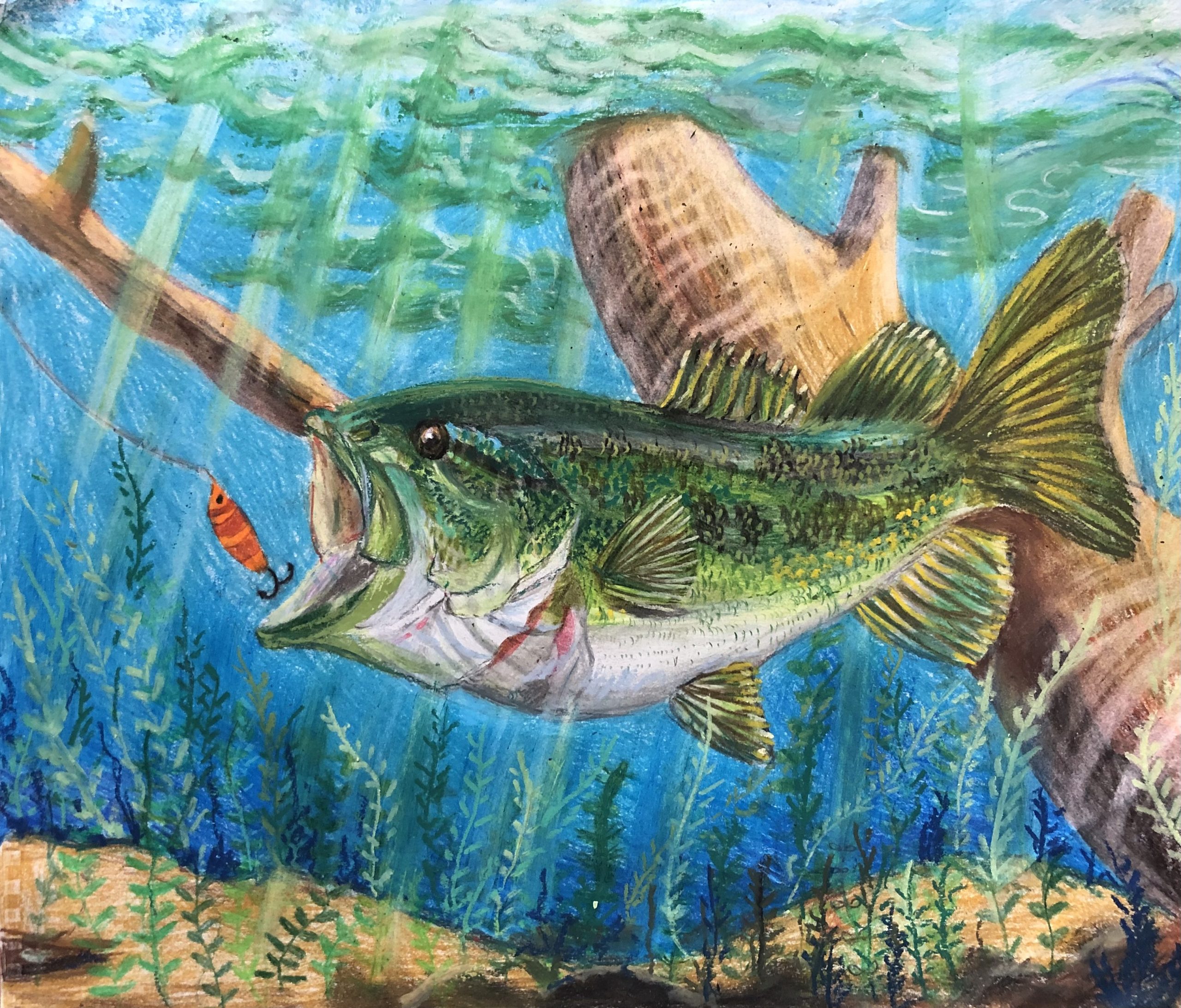 Georgia students from kindergarten through grade 12 are invited to showcase their creativity in the 2024-25 International Fish Art Contest. Organized in part by the Georgia Department of Natural Resources’ Wildlife Resources Division, the contest encourages young artists to learn more about fish species and aquatic habitats through art and writing.