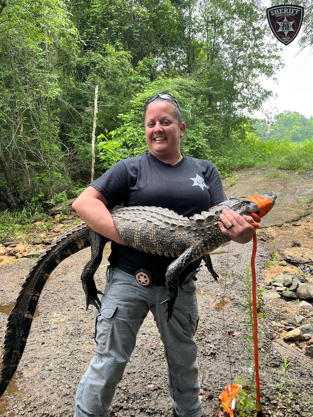 Gator Invasion: Bibb County Deals With Reptilian Residents