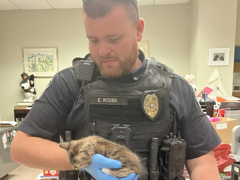 A Rome police officer turned into a hero for a tiny kitten in danger. The officer rescued the animal and decided to keep it as his own pet.