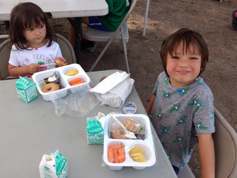 🤔 Why It Matters: 1 in 5 Georgia children face food insecurity, meaning they don't have reliable access to nutritious food. These summer meals help kids stay healthy when school cafeterias normally close.