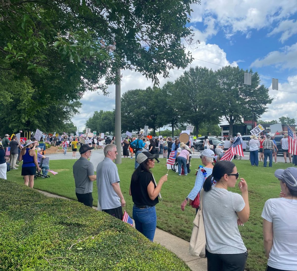 Large Crowd Shows Up For No Kings Protest in Johns Creek
