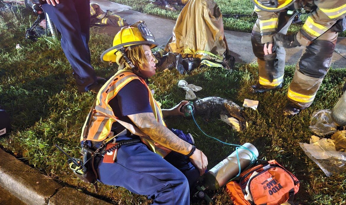 A house fire in unincorporated Snellville Tuesday night killed one person and three pets. Neighbors called 911 reporting flames and a trapped person inside the home on Round Stone Trail.