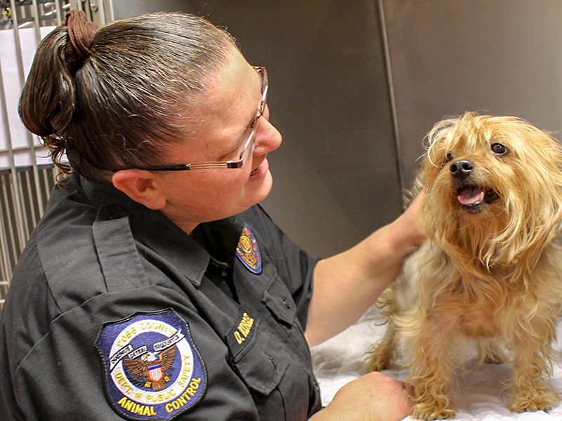 False claims about pet deaths at Cobb County's animal shelter are spreading on social media. The real numbers tell a different story.