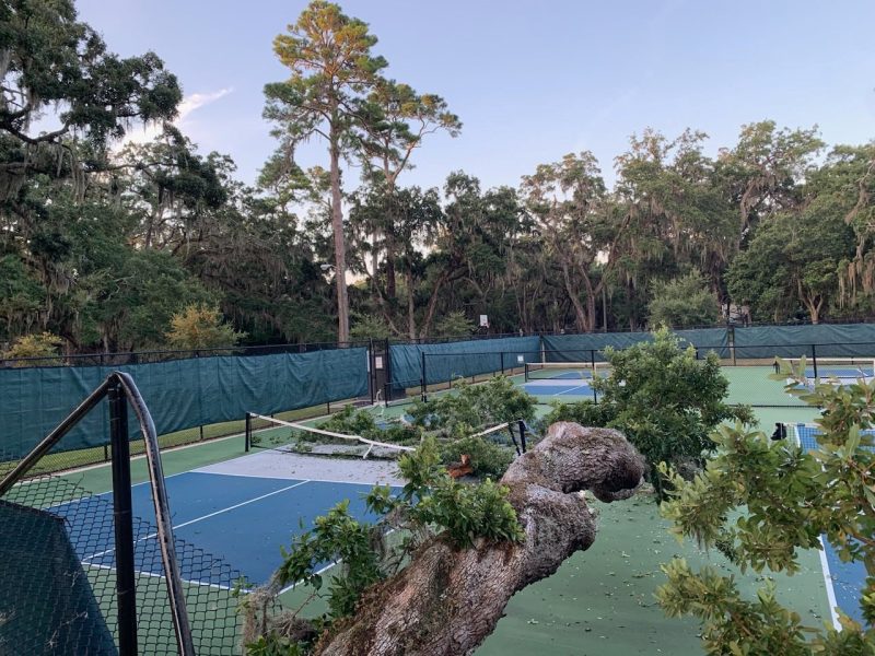 A fallen tree branch has temporarily shut down the popular pickleball courts at Kings Park in Glynn County, with crews working to clear debris and inspect for damage.