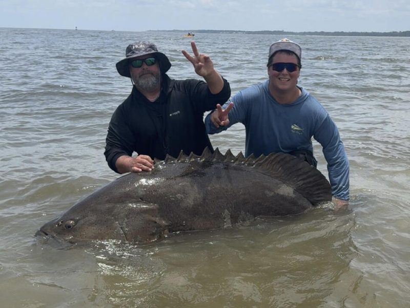 When Robert Turybury and his friend Seth Silverstein set out to celebrate Turybury's first wedding anniversary by fishing for sharks off St. Simons Island, they had no idea they were about to encounter something much larger and more powerful than anything they'd ever imagined.