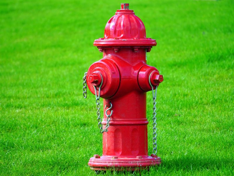 Bright red fire hydrant standing on a lush green lawn, perfect for summer scenes.