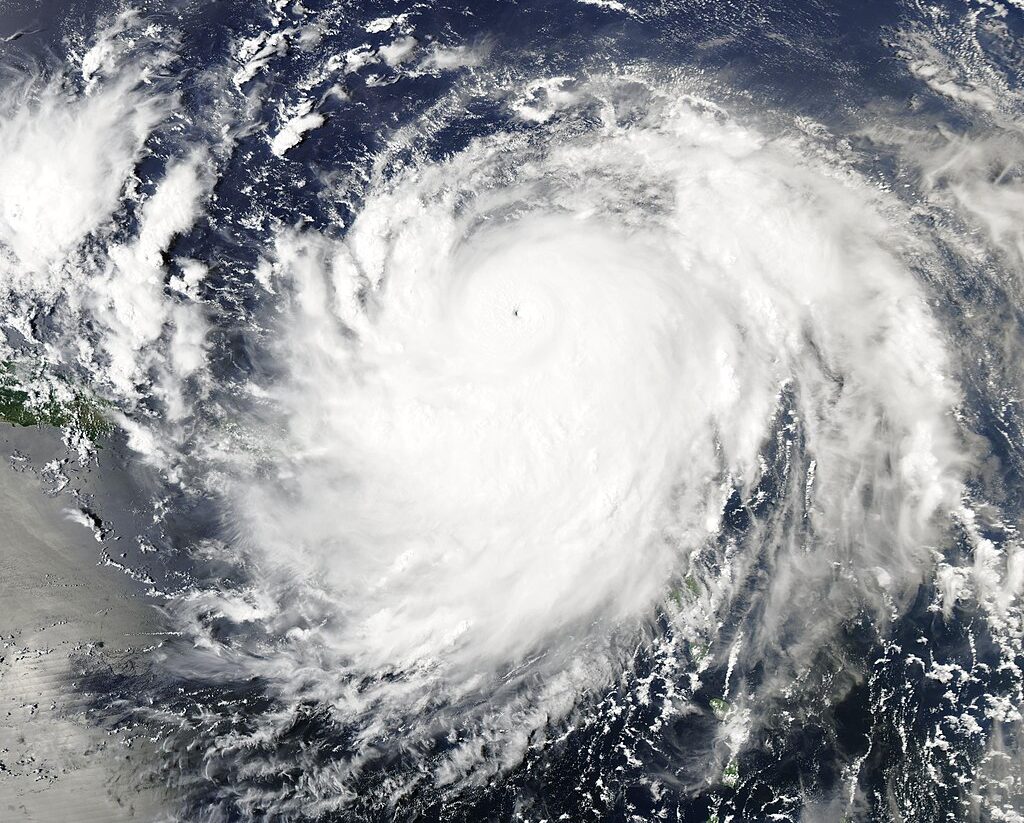 HURRICANE SEASON HITS: 4 steps every Georgia home needs today
