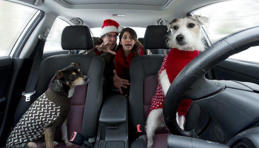 Georgia Takes Top Spot as Nation’s Most Popular Holiday Road Trip Destination