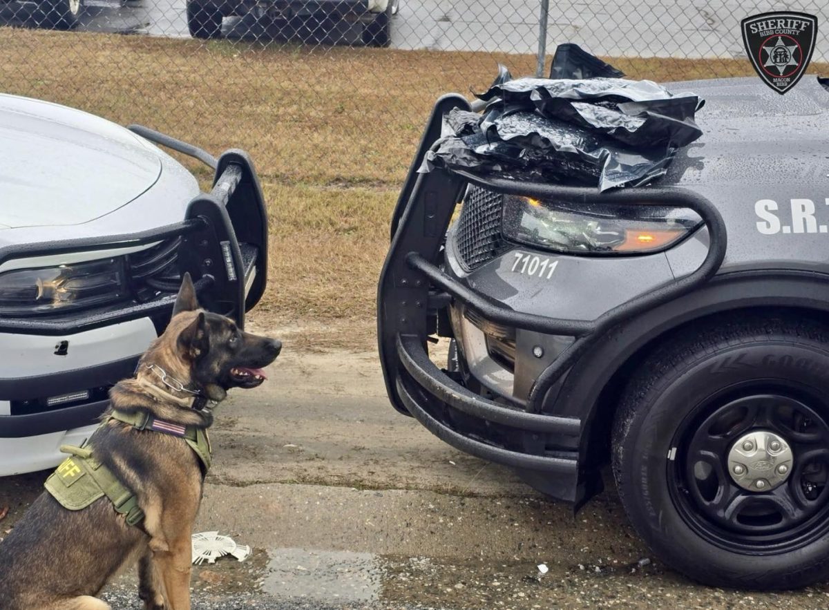 Drugs in The Mail?: Bibb County K-9 Stops Narcotics Shipment