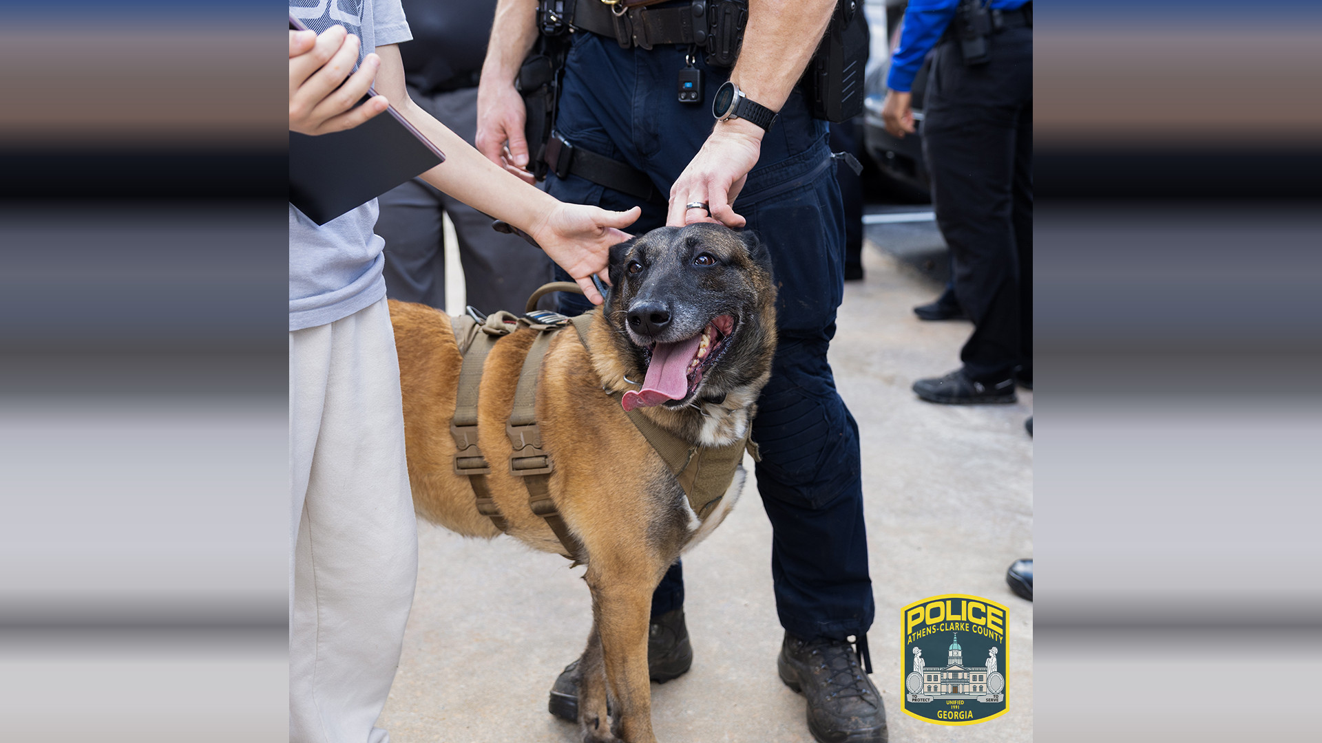 Damn Good Dog: Athens police dog retires after 6 years on the job