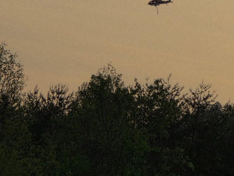 A helicopter flying above a dense forest with a sky that has a warm, muted tone, suggesting either early morning or late evening. The helicopter is dark-colored and appears to be hovering or moving slowly. The trees below are lush and green.