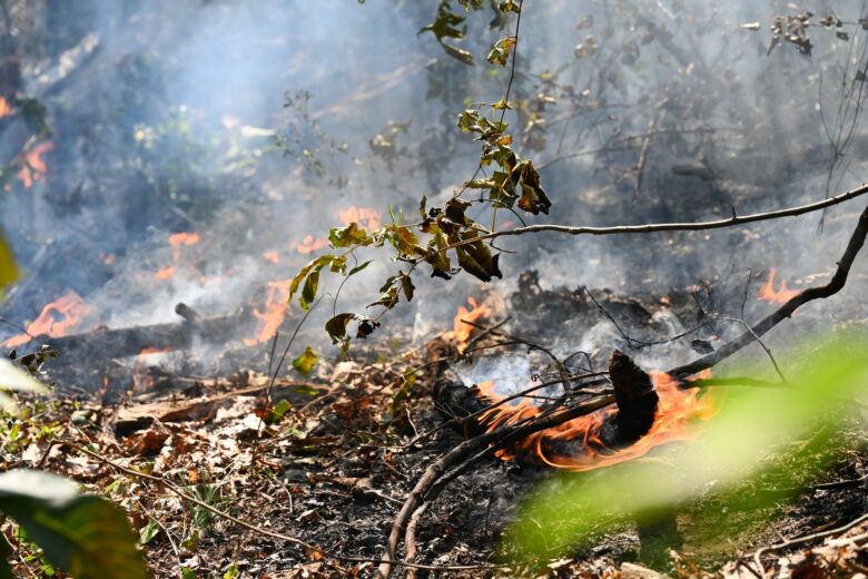 Dry leaves and branches burning on the ground with visible flames and smoke rising, surrounded by some green and withered foliage.