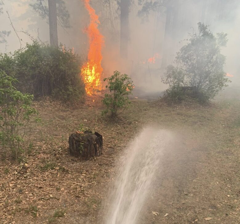 A forest fire with visible flames burning among trees and bushes. In the foreground, water is being sprayed from a red fire hose towards the fire, attempting to extinguish it. The area is smoky with dry leaves and grass on the ground.