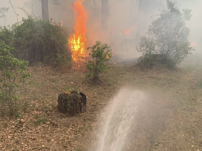 A forest fire with visible flames burning among trees and bushes. In the foreground, water is being sprayed from a red fire hose towards the fire, attempting to extinguish it. The area is smoky with dry leaves and grass on the ground.