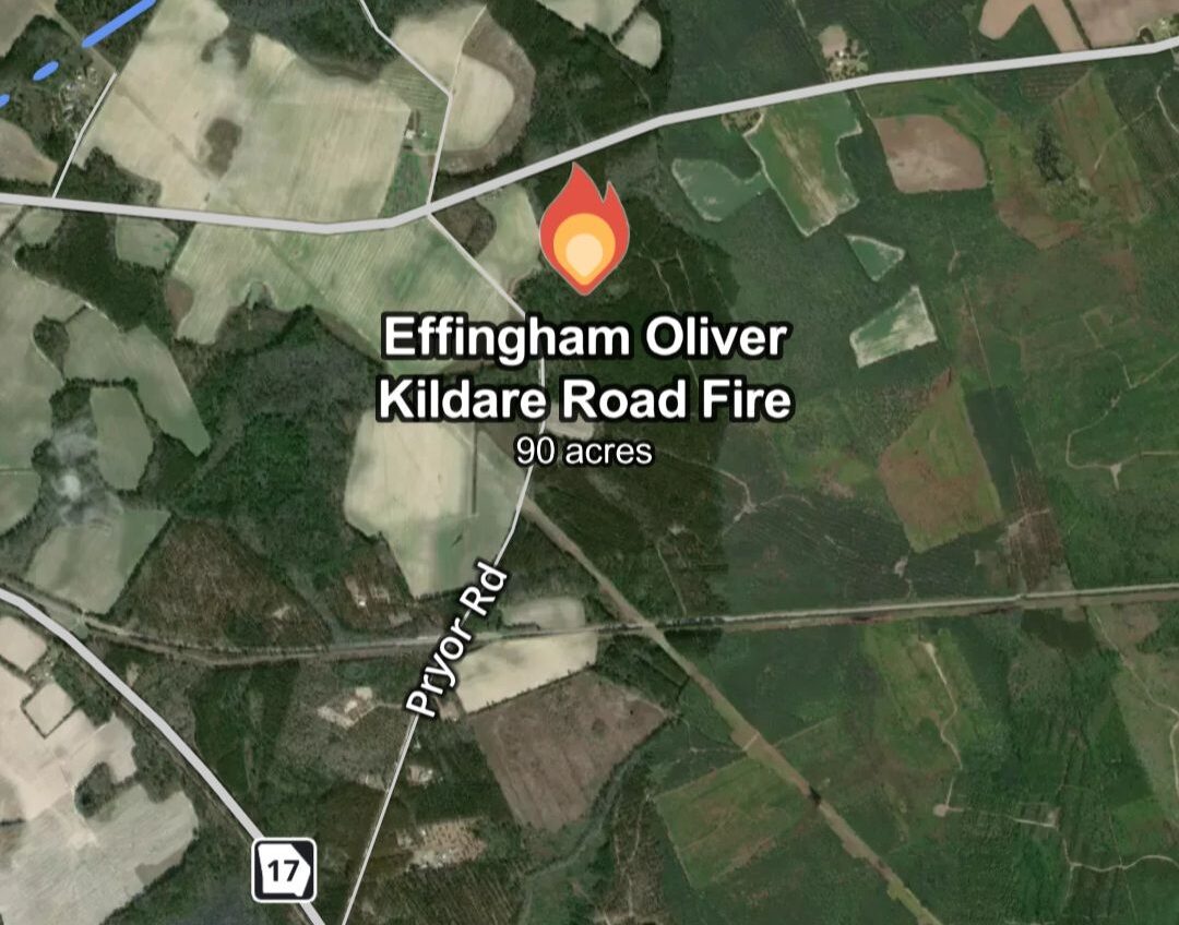 Wildfire breaks out in Effingham County