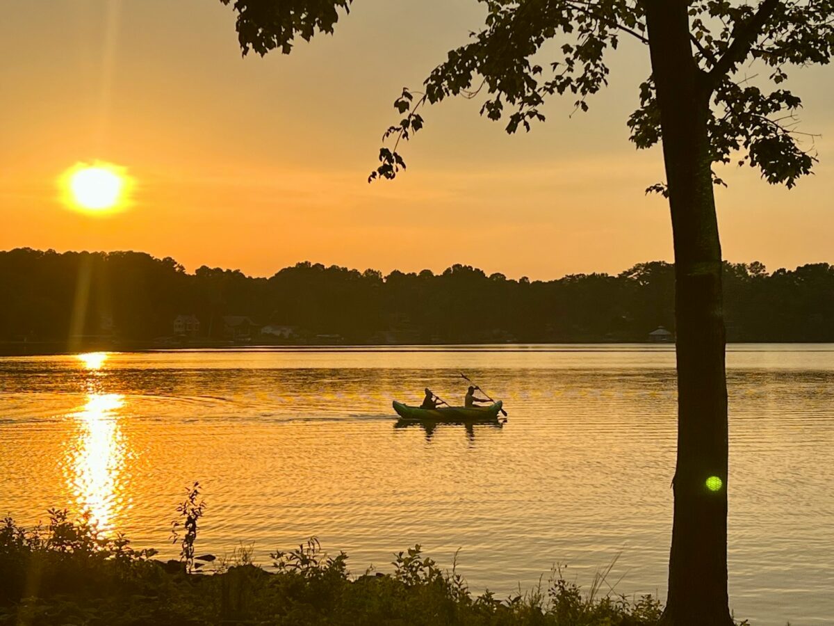 Two people paddling a canoe on a calm lake during a golden sunset, with the sun reflecting on the water and silhouetted trees in the background. A tree trunk and branches frame the right side of the scene.