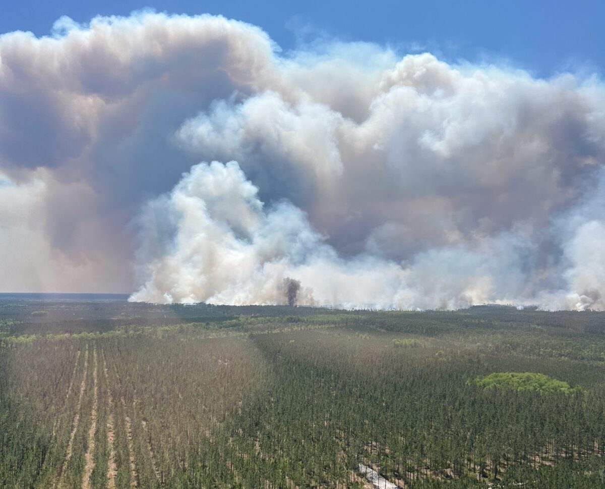 A large forest fire with thick smoke billowing into the clear blue sky above a dense green forest. The smoke is white and gray, spreading widely across the horizon. The forest below is mostly green with some areas of brown or dead trees, and a small dirt road or path runs through the lower part of the image.