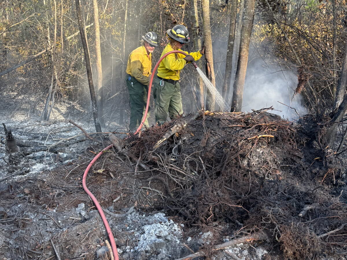 Two firefighters in yellow protective jackets and helmets are extinguishing a smoldering forest fire. One firefighter is spraying water from a hose onto a pile of charred branches and roots, while the other stands nearby. The ground is covered with ash and burnt debris, and smoke is rising among the trees in the background.