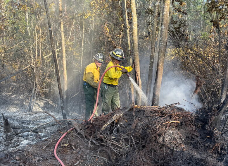 Two firefighters in yellow protective jackets and helmets are extinguishing a smoldering forest fire. One firefighter is spraying water from a hose onto a pile of charred branches and roots, while the other stands nearby. The ground is covered with ash and burnt debris, and smoke is rising among the trees in the background.
