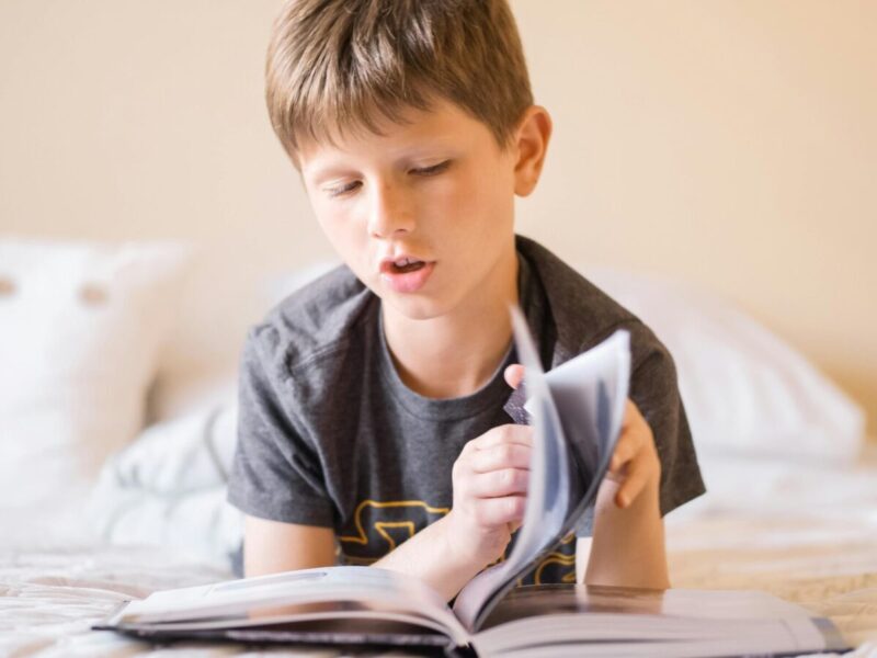 A young boy focused on reading a book in a cozy indoor setting.