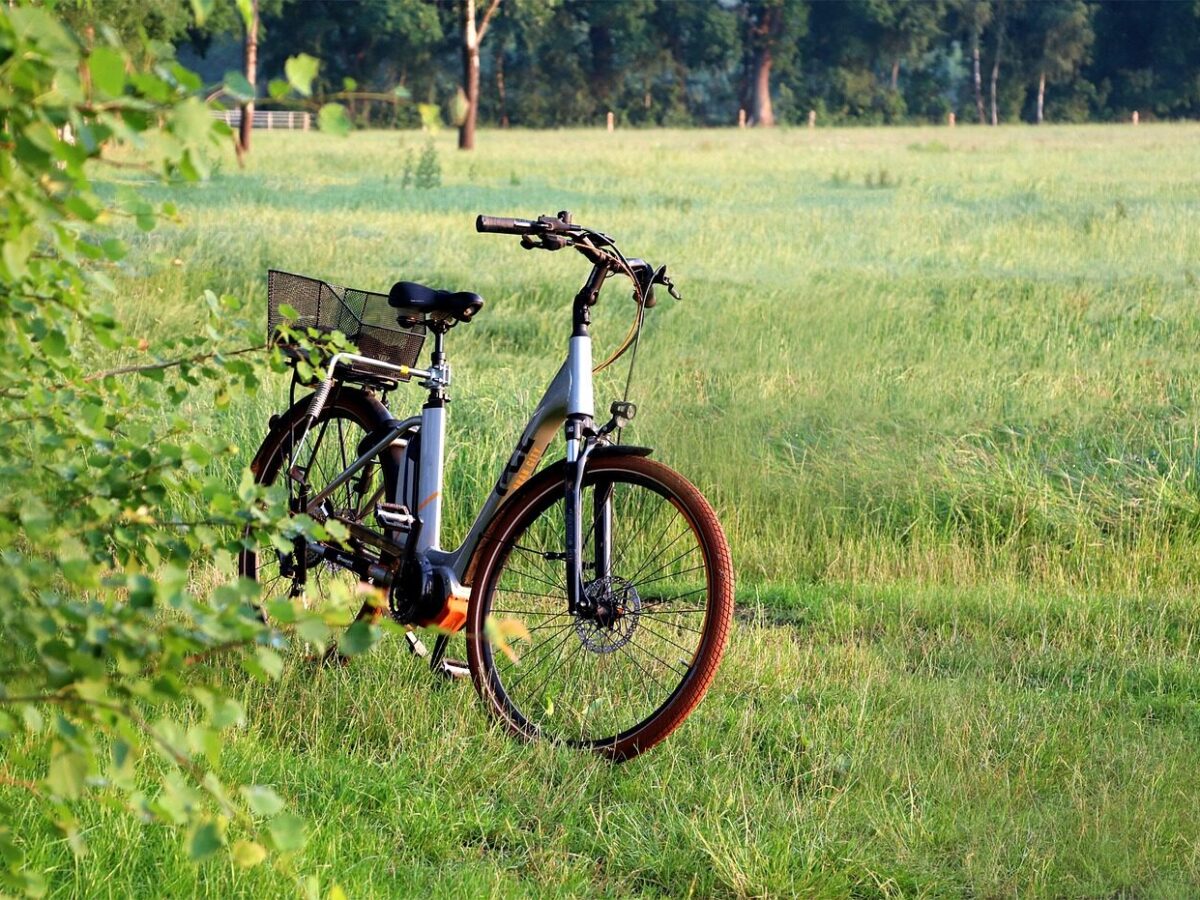 Johns Creek Police warn parents after teens ride e-bikes recklessly in city parks