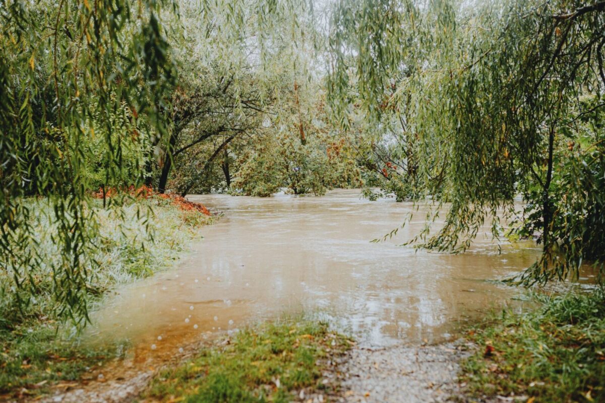 Satilla River flood warning issued for Brantley County starting Wednesday