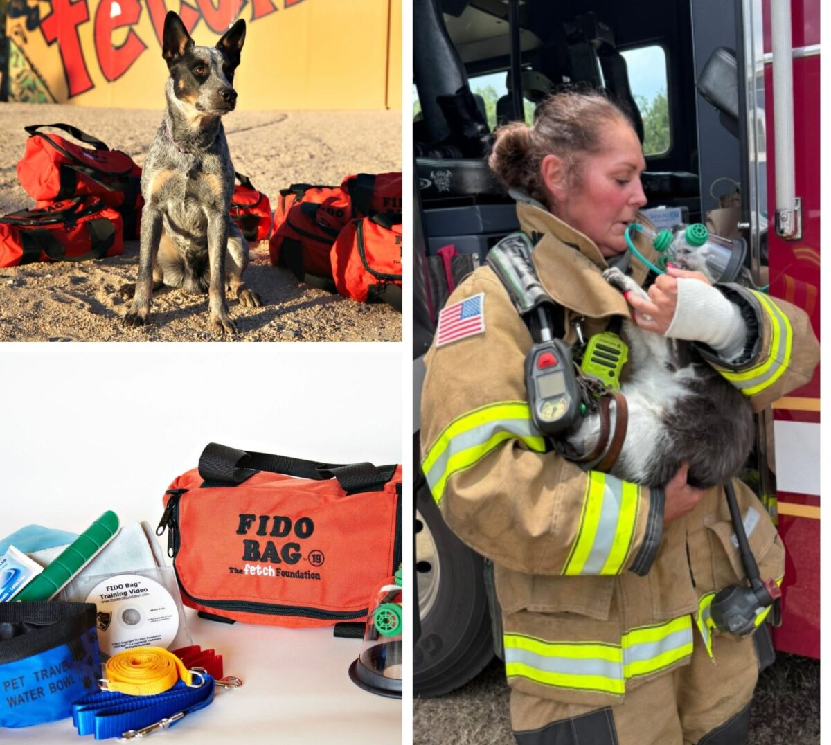 9 pets rescued from Georgia house fire