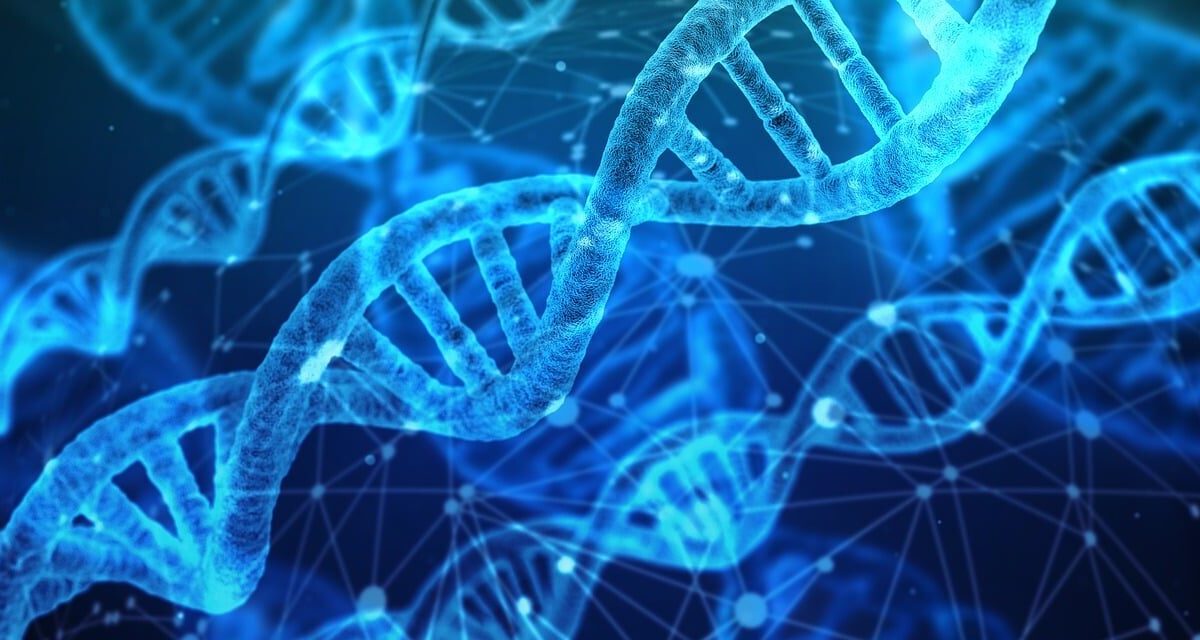 dna, analysis, research, genetic material, helix, biology, chemistry, medical, science, genetically, discovery, development, biological, dna, dna, dna, dna, dna, biology, medical, medical, science, science, science