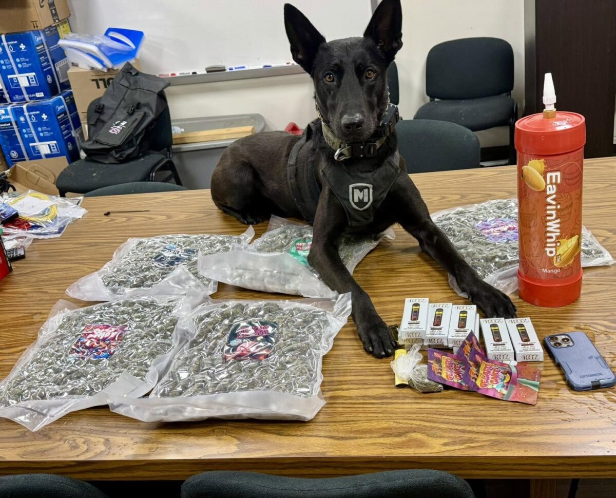 Two arrested after hydroplane crash in Candler County leads to drug find