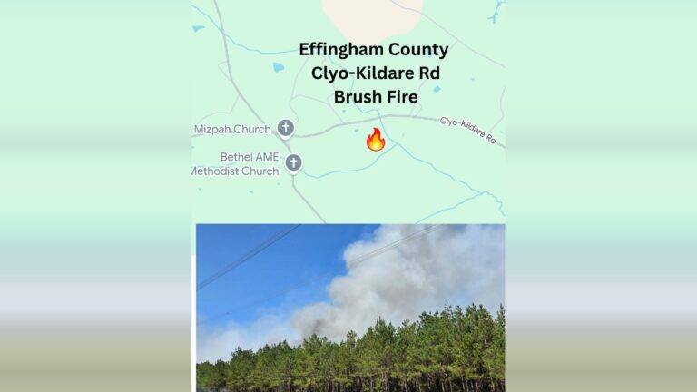 Brush fire in Effingham County grows to 75 acres 825279874 1530855529069390 1400568526722765531 n pillarbox