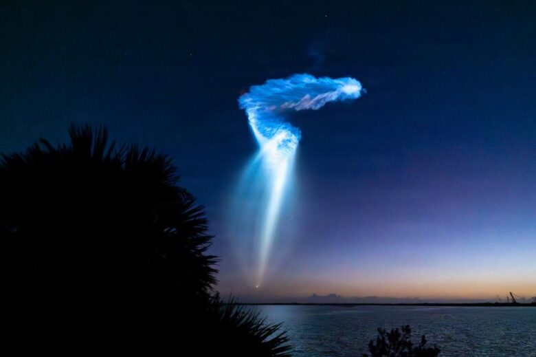 Jellyfish effect